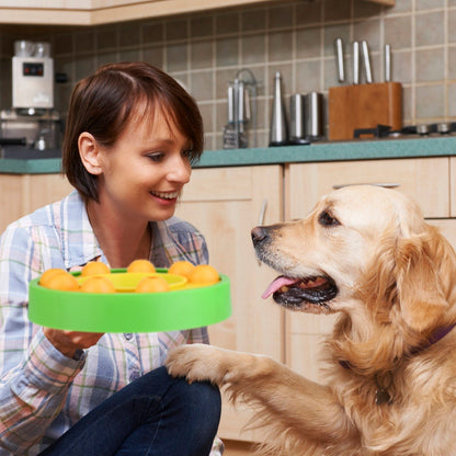 Interactive Dog Puzzle Treat Dispenser