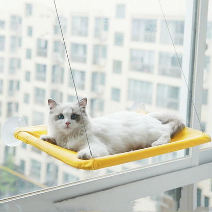 Cat Window Hammock Perch