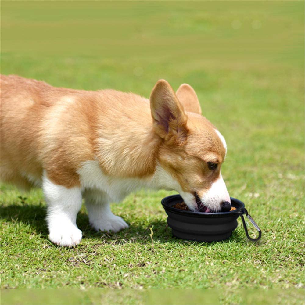 5" Portable and Foldable Small Dog Bowl-Black (5 Pieces)