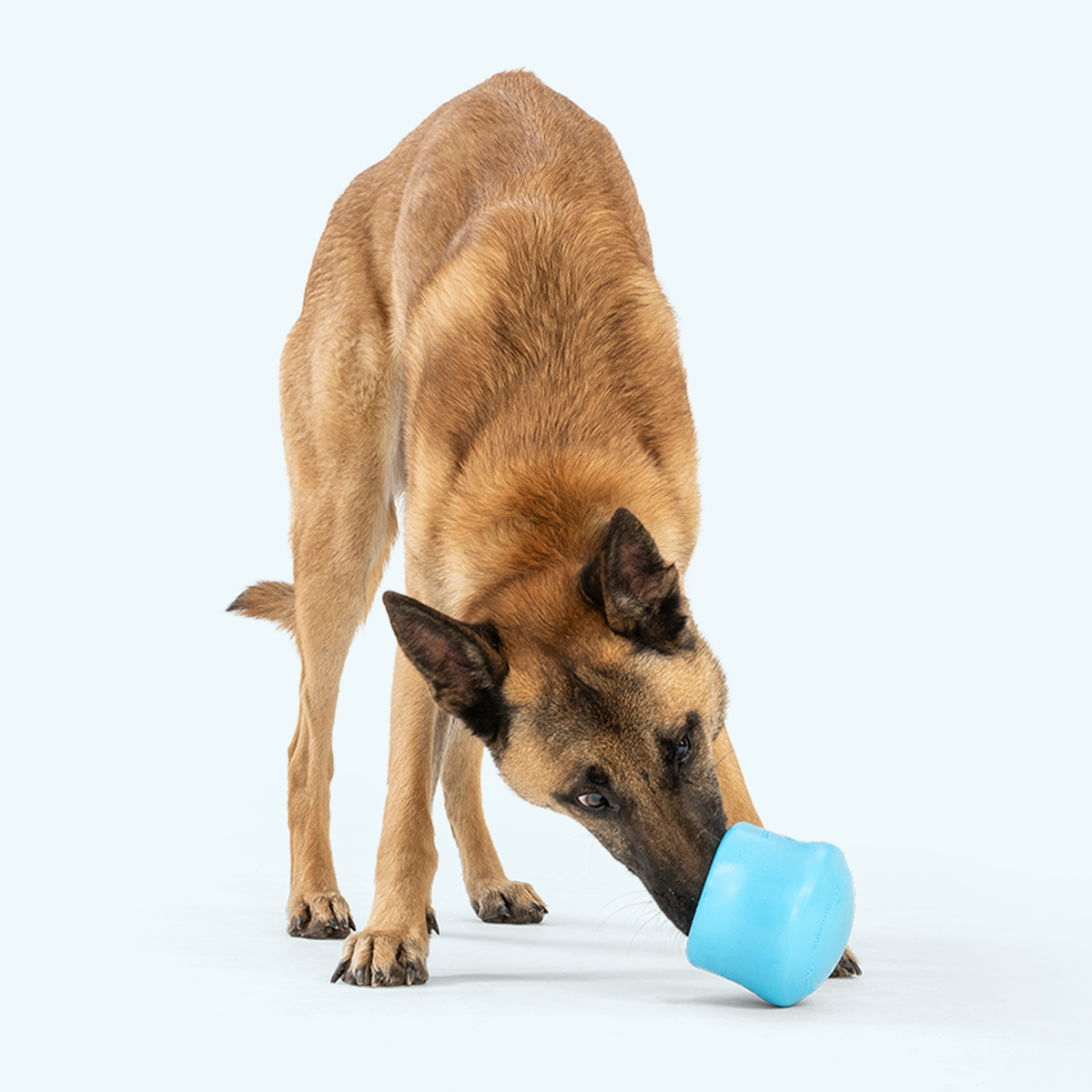 West Paw Toppl Interactive Treat Toy