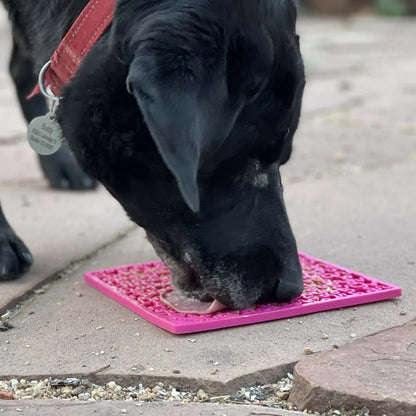 SodaPup Jigsaw eMat Pet Enrichment Lick Mat